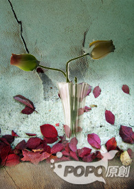 ����֮����������˾(��)