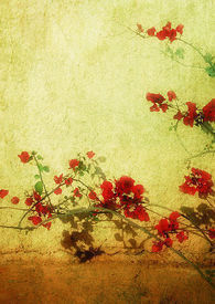 ���� �������ְ桿