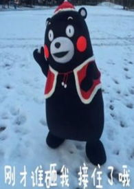 ���ֻ��һ��������̸������1v1h��