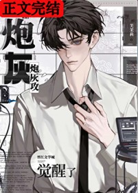 ���ǰ�ڻҹ�������