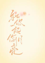 ����һ��͵����