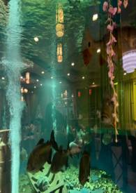 ֩������