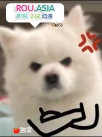 ��Alpha�Ų�������ͷ����